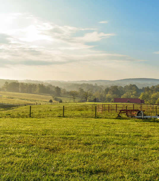 Hügelige Landschaft mit Weidenzäunen
